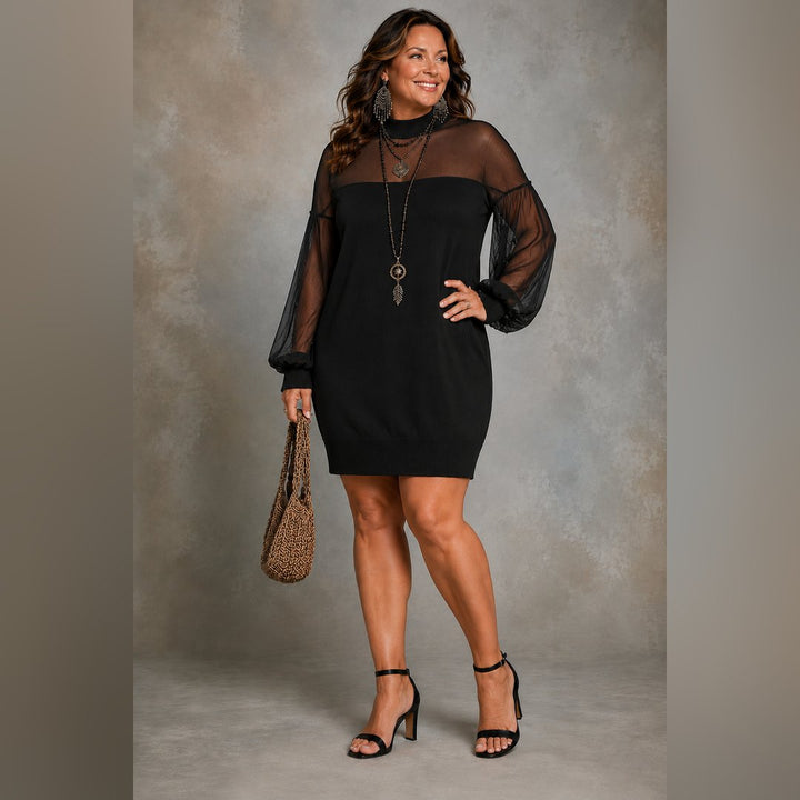 Delicia | Black Mesh-Sleeve Mini Dress
