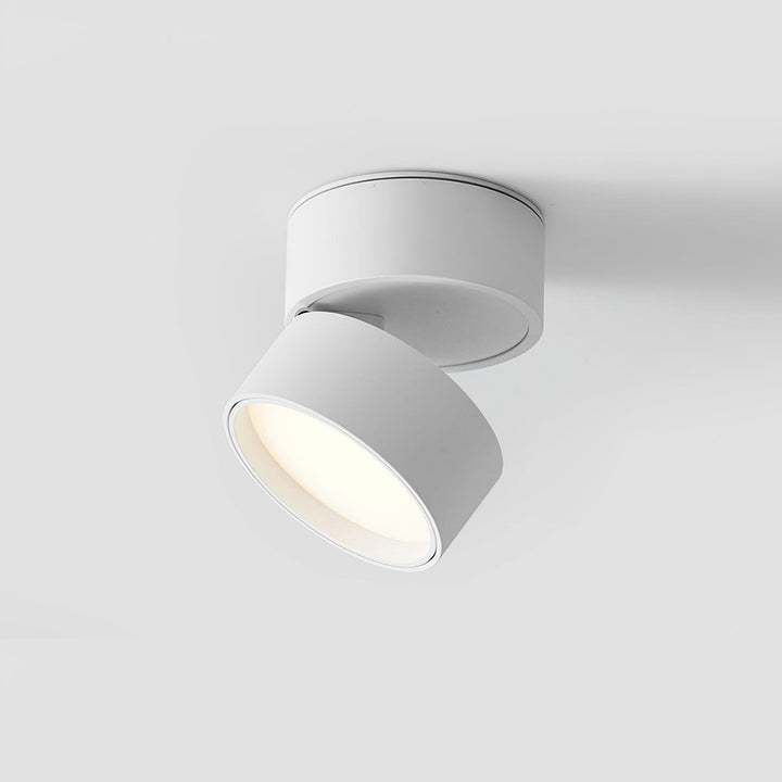 Favilla Surface Ceiling Light