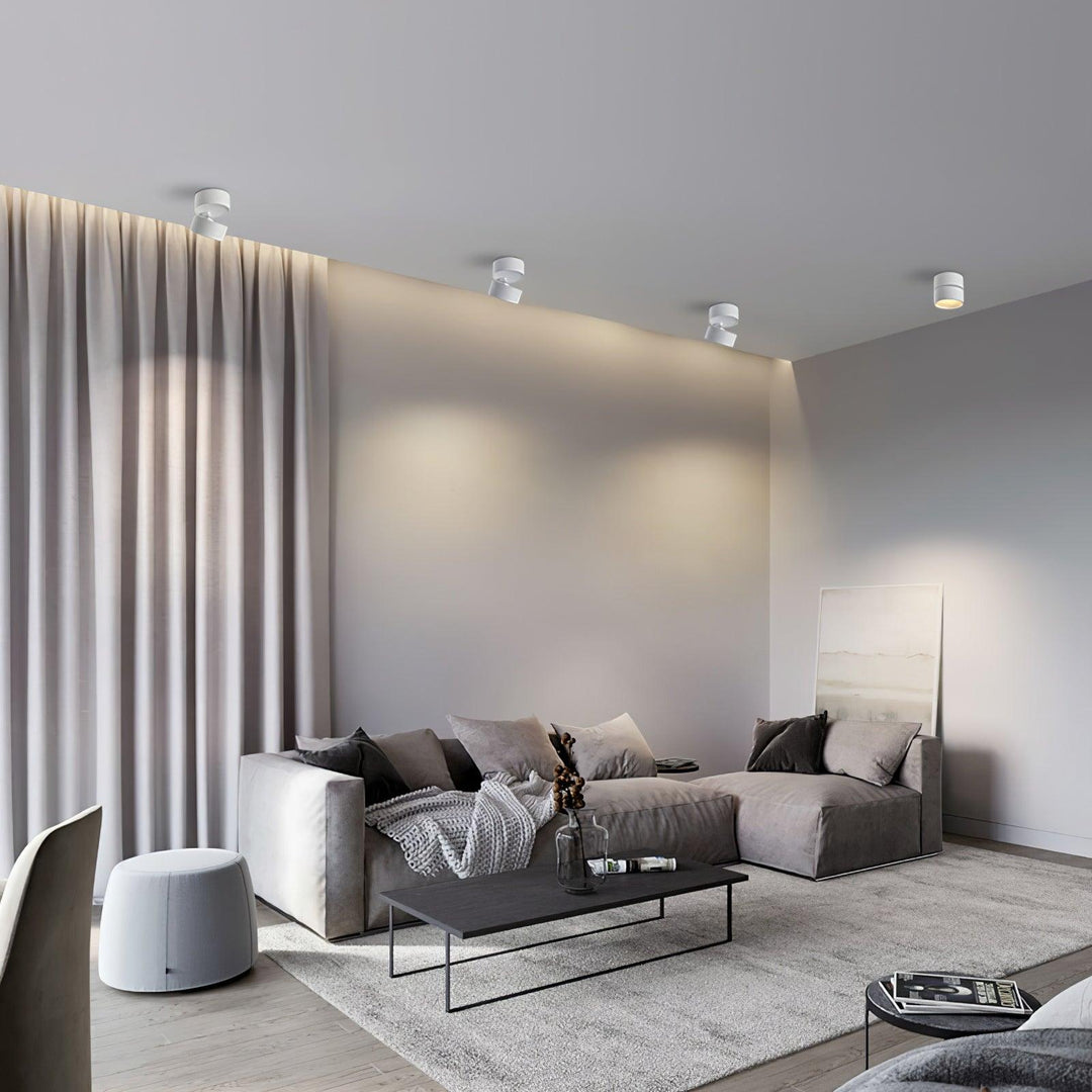 Favilla Surface Ceiling Light | Buy 1 Get 1 Free