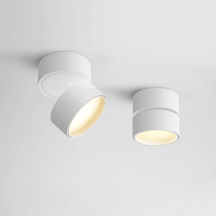 Favilla Surface Ceiling Light | Buy 1 Get 1 Free