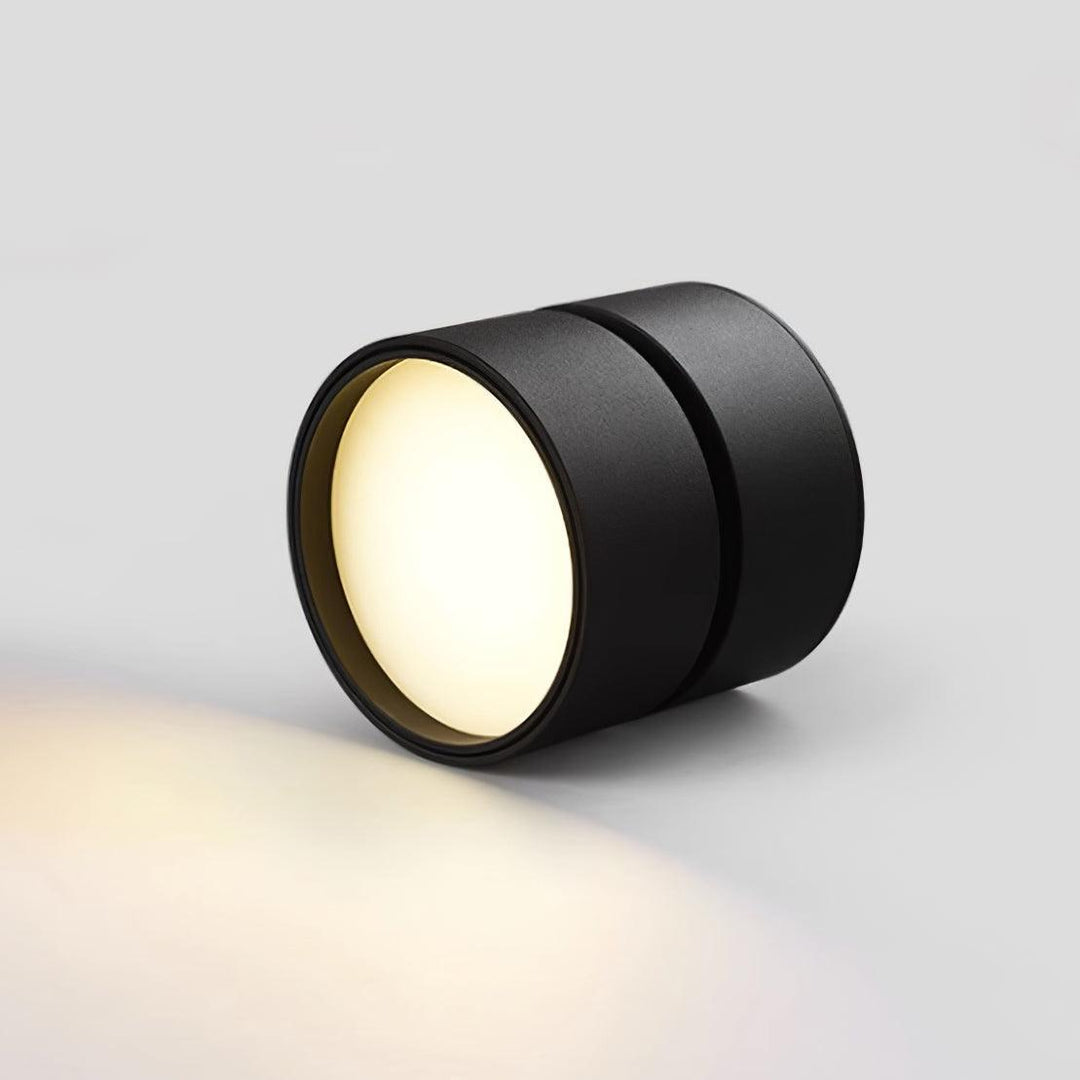 Favilla Surface Ceiling Light | Buy 1 Get 1 Free