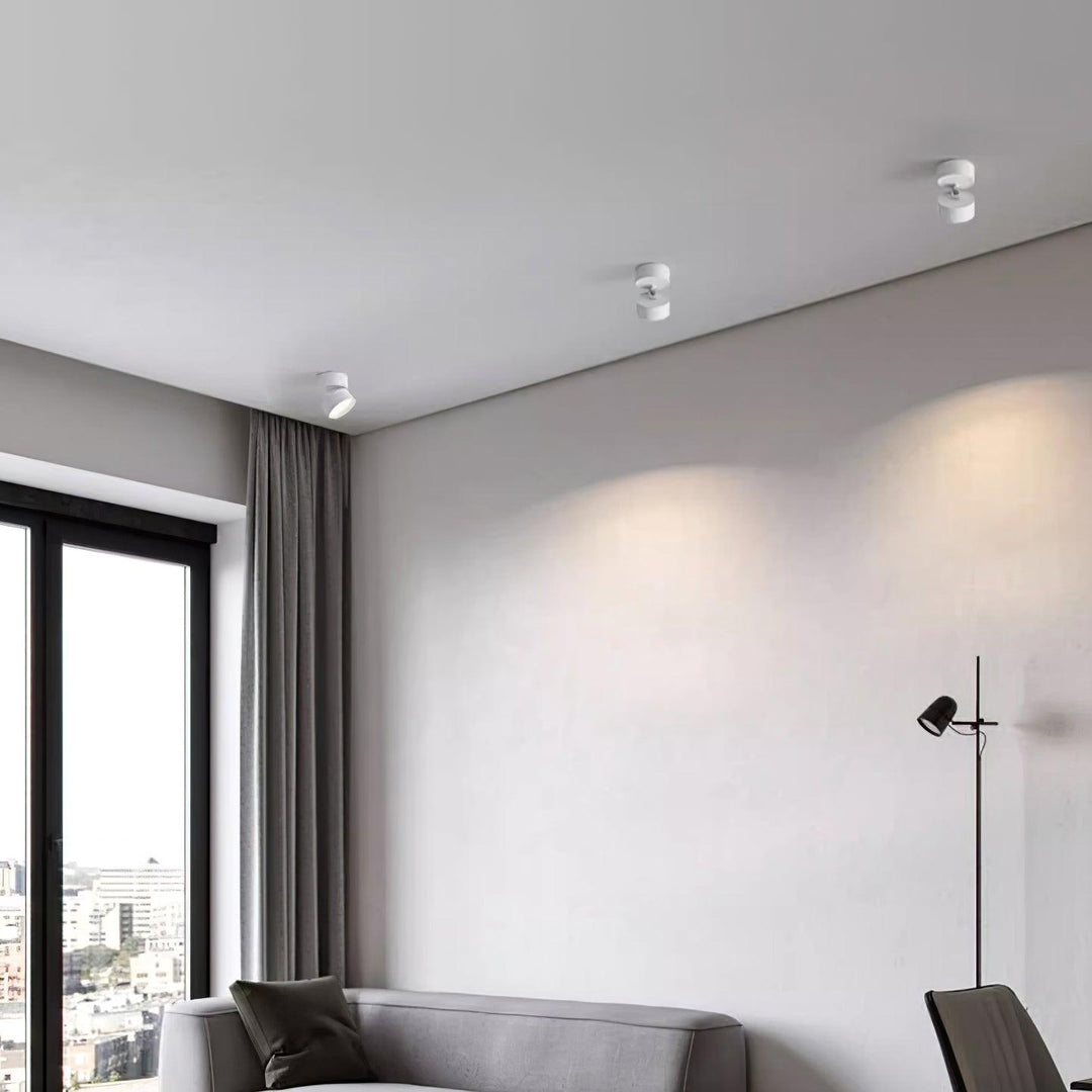Favilla Surface Ceiling Light