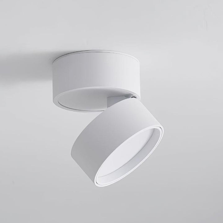 Favilla Surface Ceiling Light | Buy 1 Get 1 Free