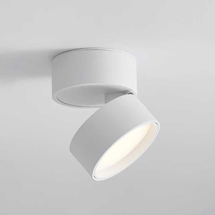 Favilla Surface Ceiling Light