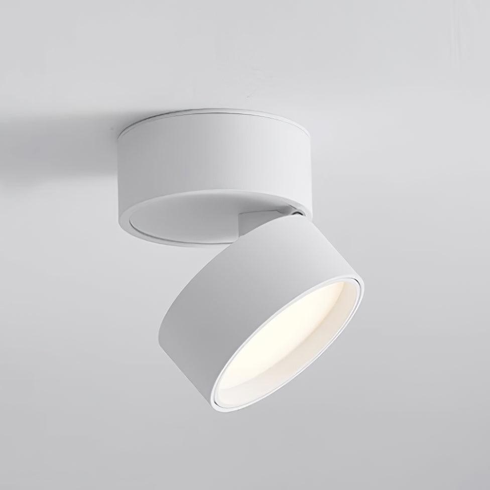 Favilla Surface Ceiling Light | Buy 1 Get 1 Free