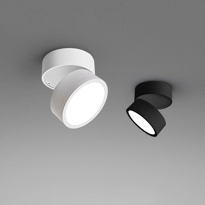 Favilla Surface Ceiling Light