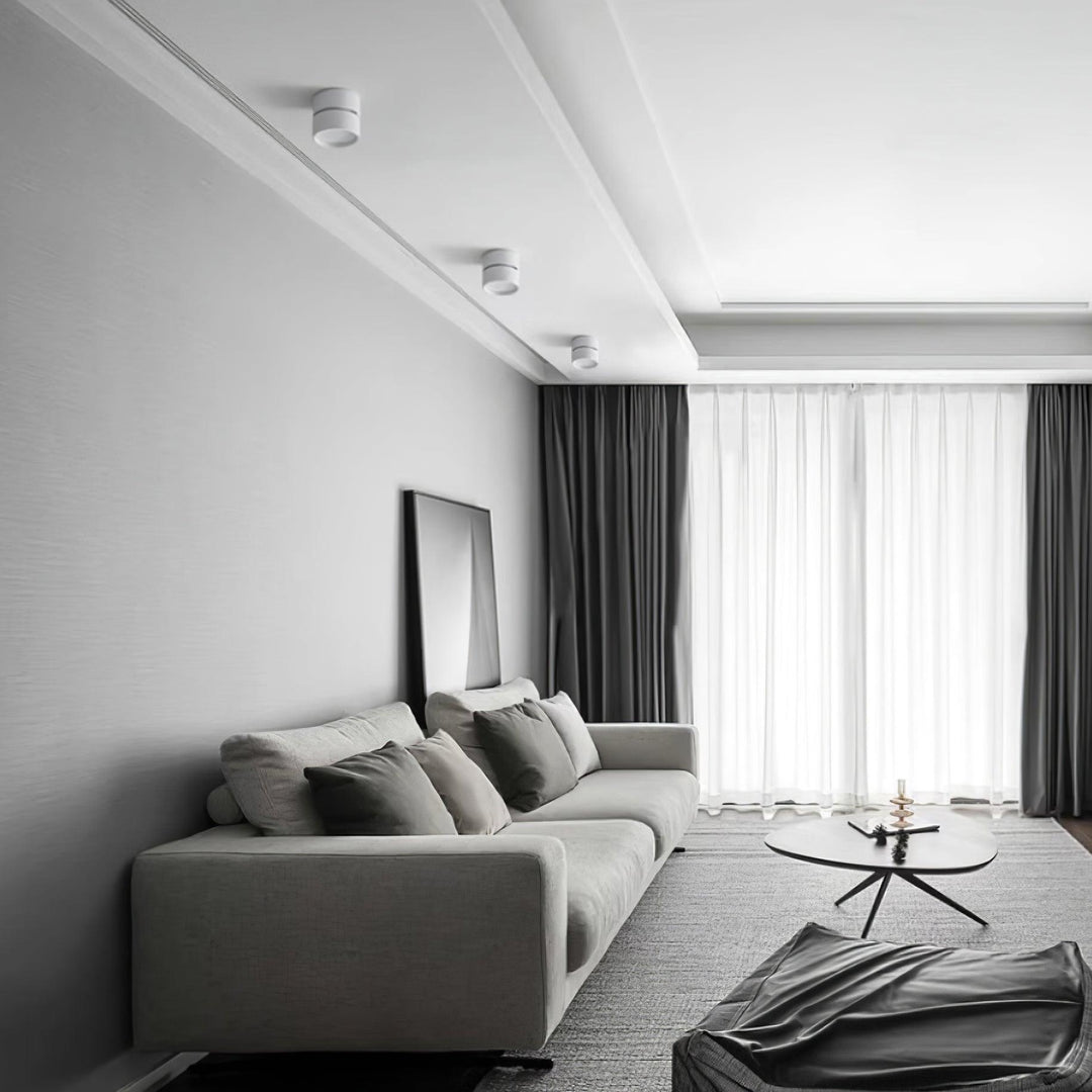 Favilla Surface Ceiling Light