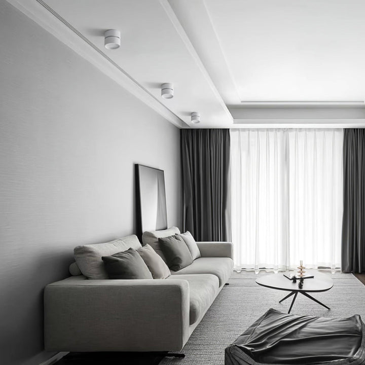 Favilla Surface Ceiling Light | Buy 1 Get 1 Free