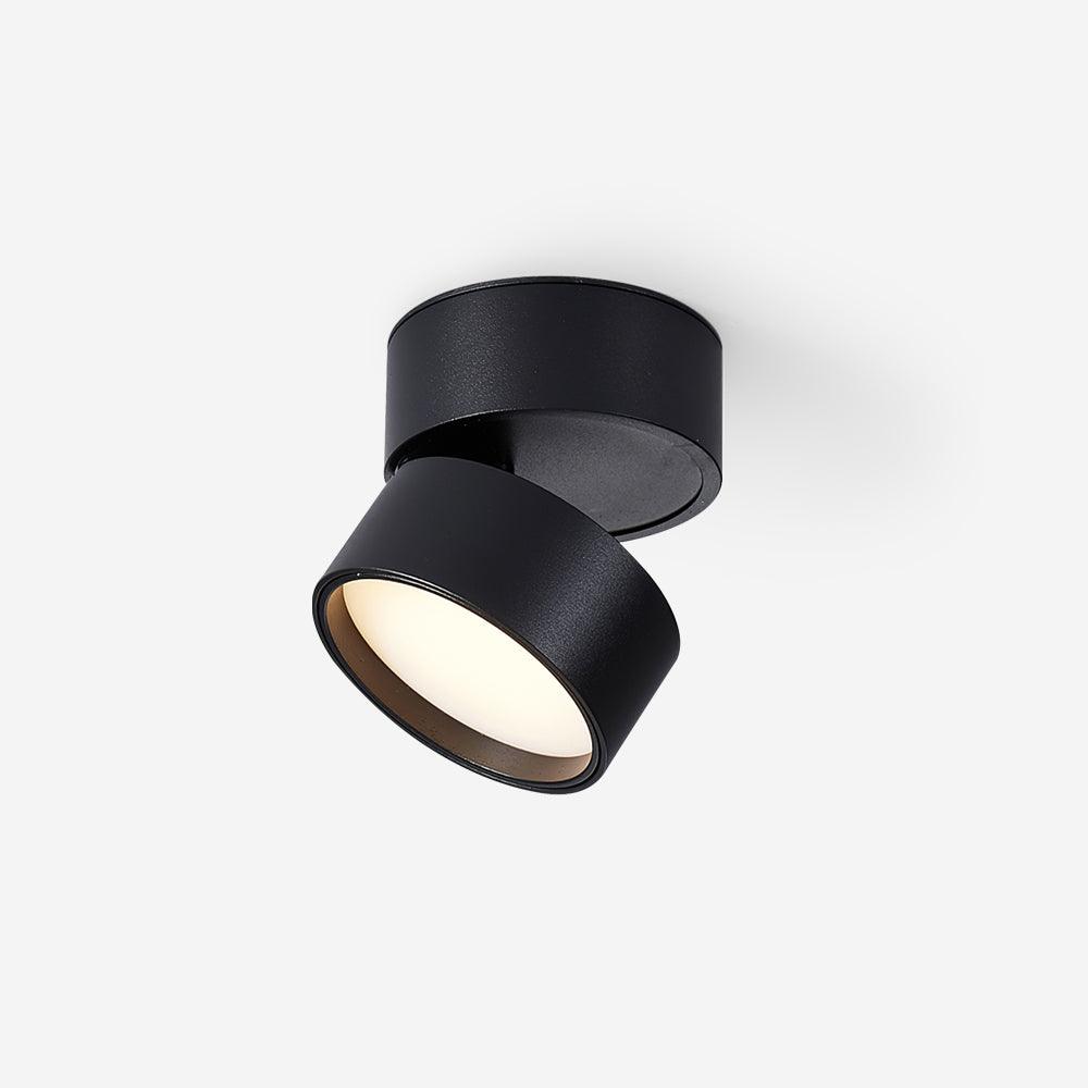 Favilla Surface Ceiling Light | Buy 1 Get 1 Free