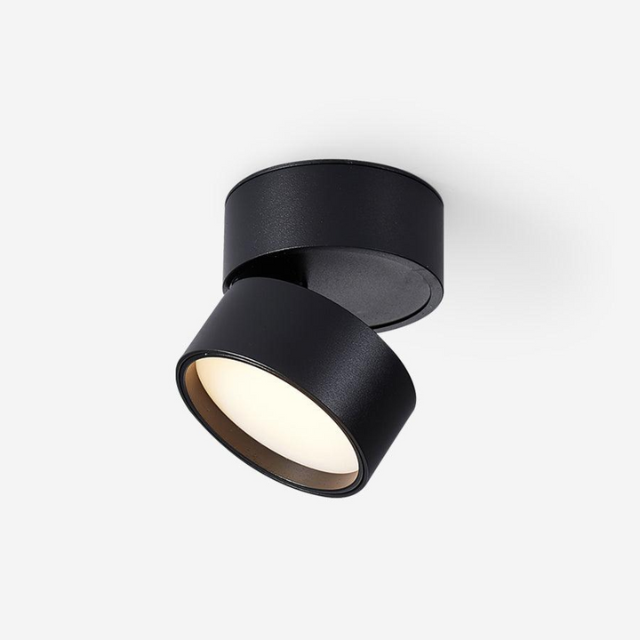 Favilla Surface Ceiling Light | Buy 1 Get 1 Free