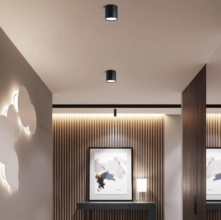 Favilla Surface Ceiling Light