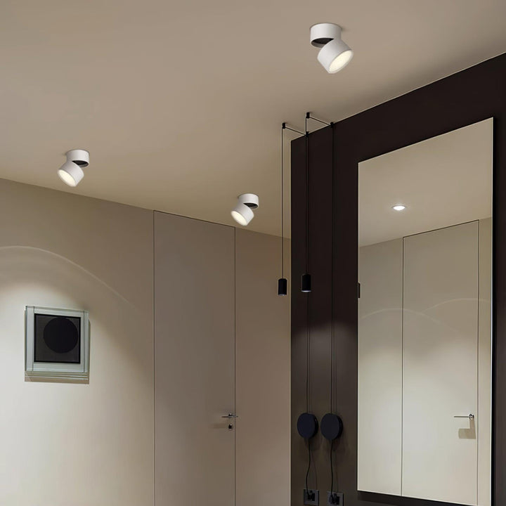 Favilla Surface Ceiling Light | Buy 1 Get 1 Free