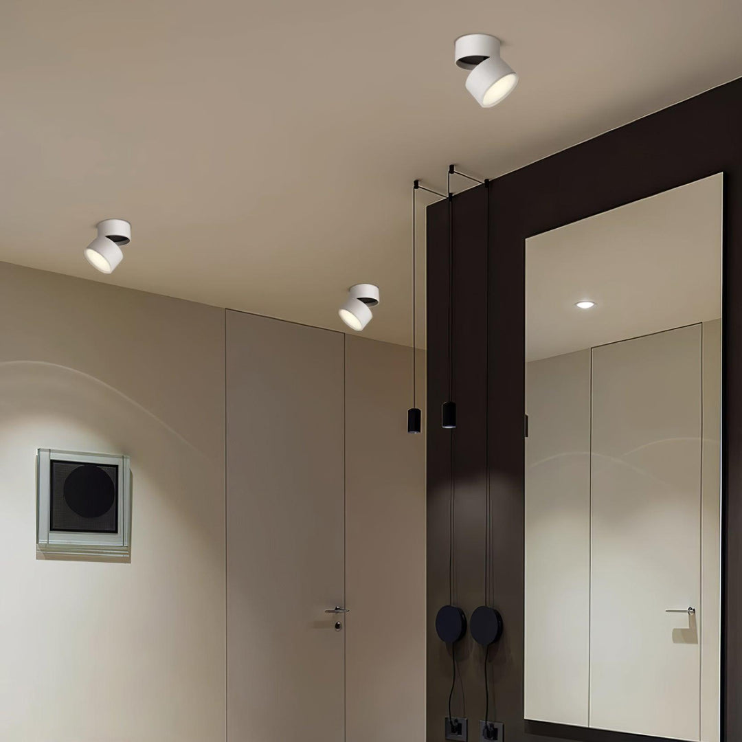 Favilla Surface Ceiling Light