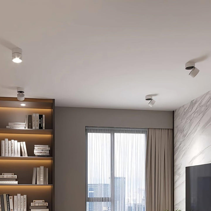 Favilla Surface Ceiling Light | Buy 1 Get 1 Free
