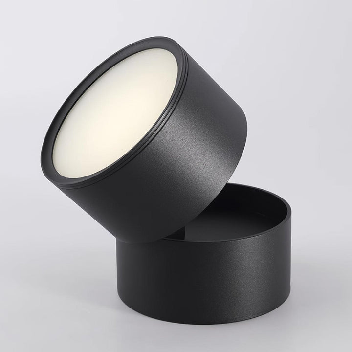 Favilla Surface Ceiling Light