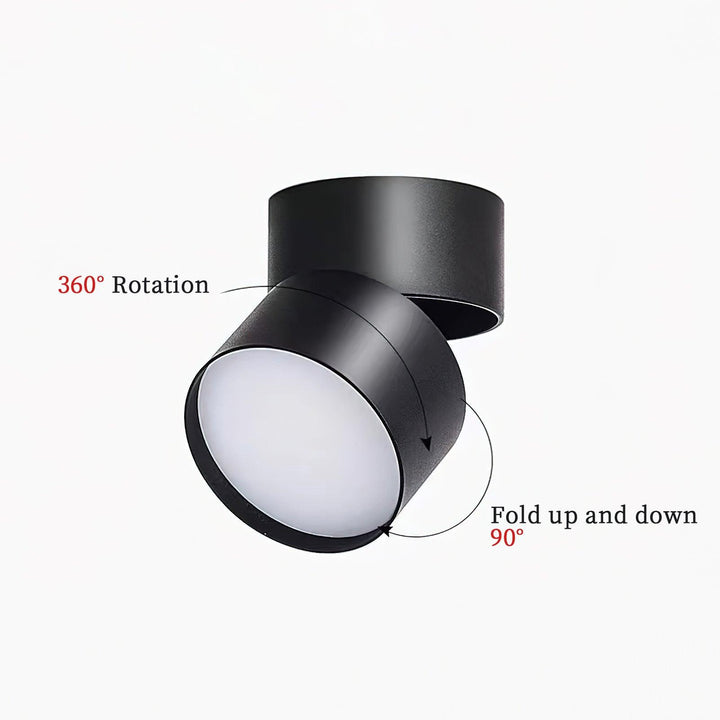 Favilla Surface Ceiling Light