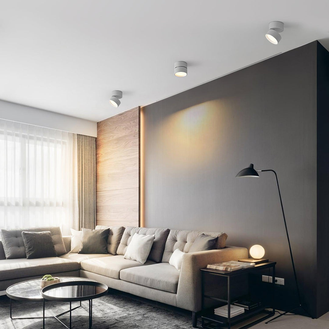 Favilla Surface Ceiling Light