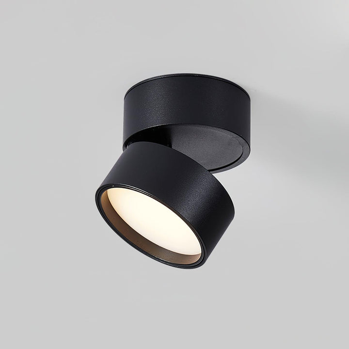 Favilla Surface Ceiling Light