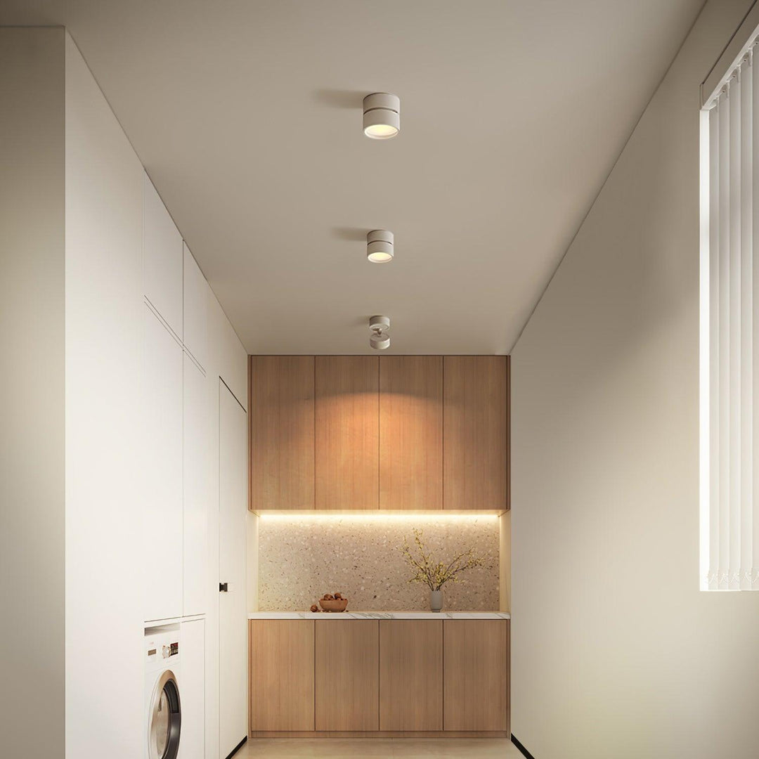 Favilla Surface Ceiling Light