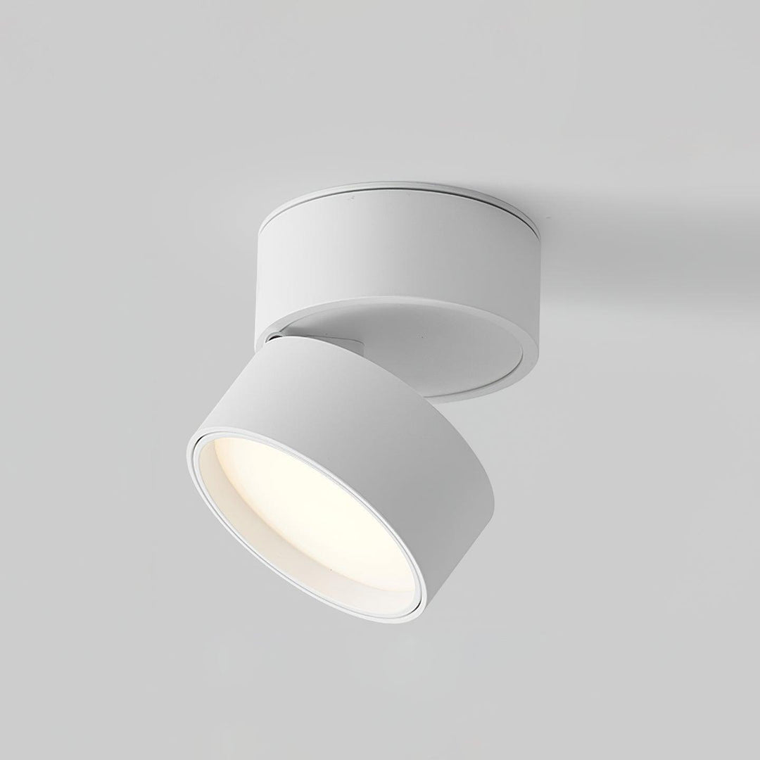 Favilla Surface Ceiling Light | Buy 1 Get 1 Free