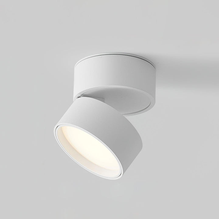 Favilla Surface Ceiling Light | Buy 1 Get 1 Free