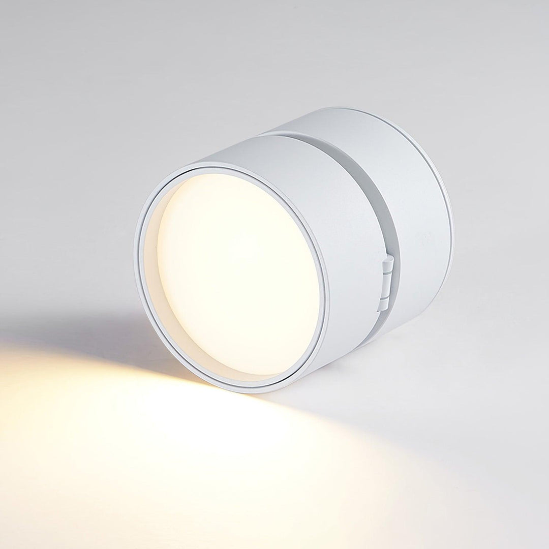 Favilla Surface Ceiling Light | Buy 1 Get 1 Free