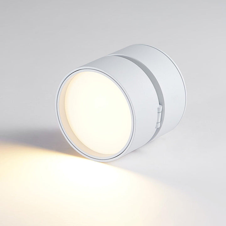 Favilla Surface Ceiling Light