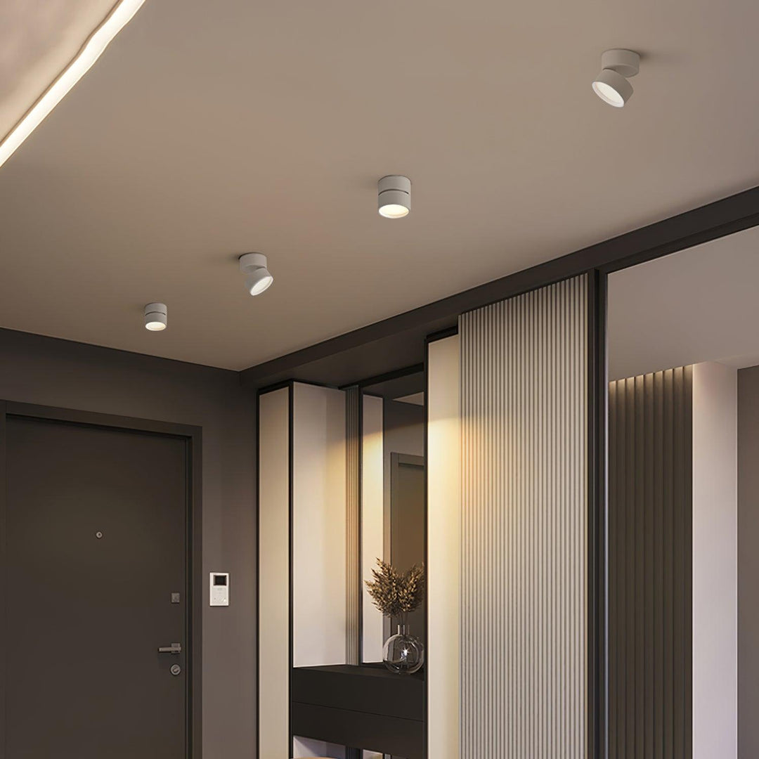 Favilla Surface Ceiling Light