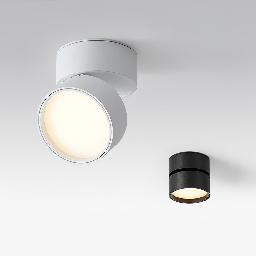 Favilla Surface Ceiling Light