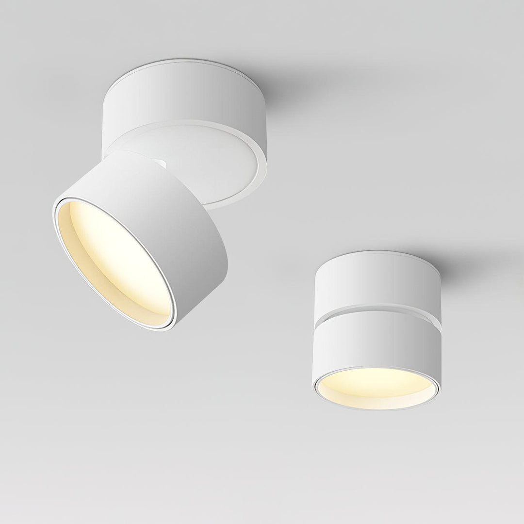 Favilla Surface Ceiling Light