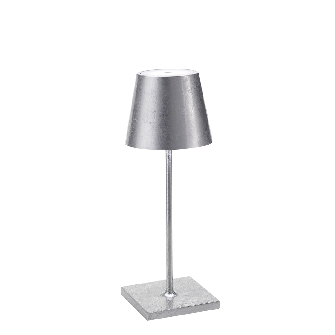 "Poldina Pro Mini"