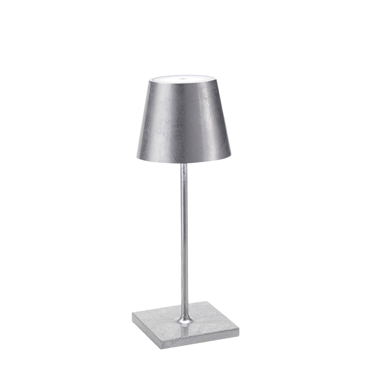 "Poldina Pro Mini"
