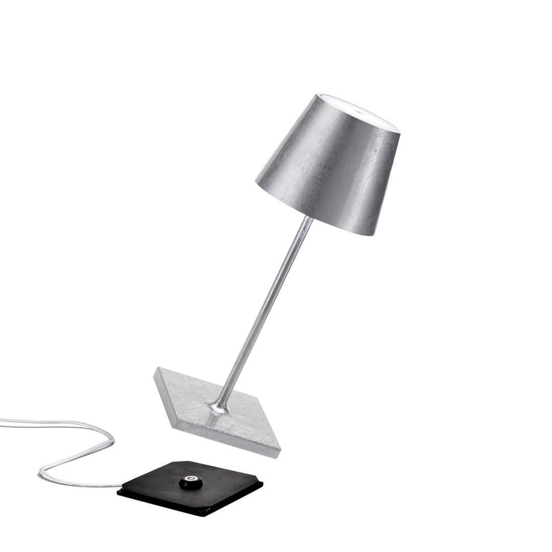 "Poldina Pro Mini"