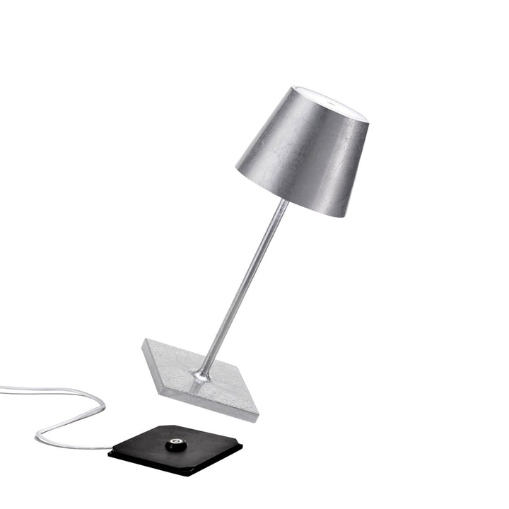 "Poldina Pro Mini"