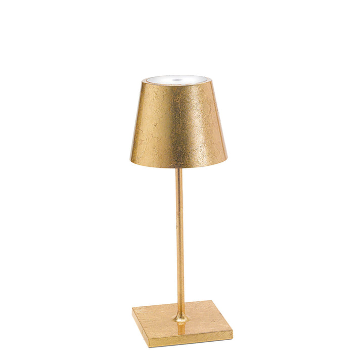 "Poldina Pro Mini"