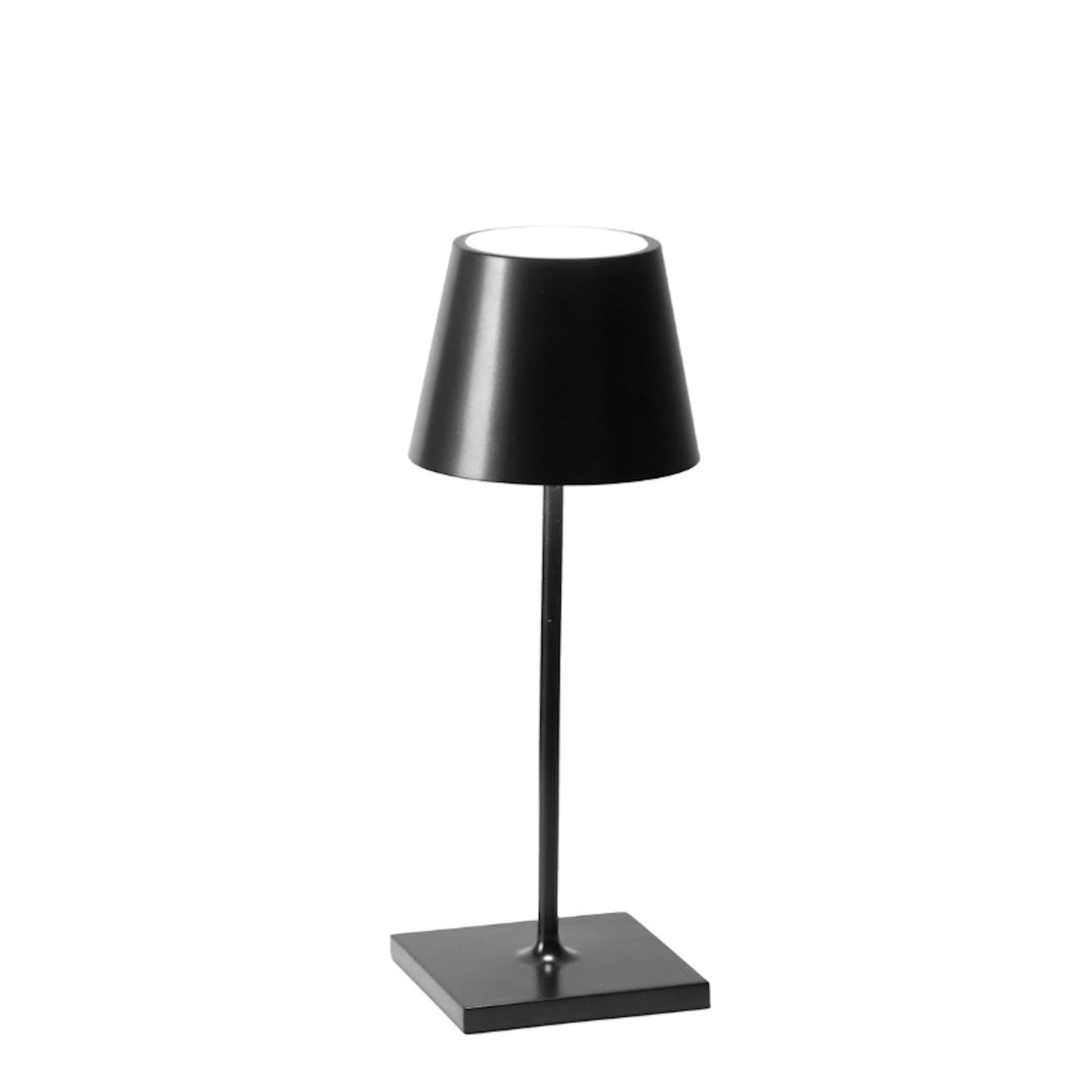 "Poldina Pro Mini"