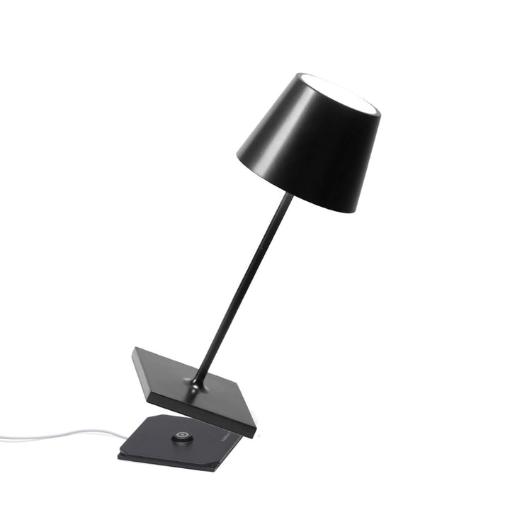 "Poldina Pro Mini"