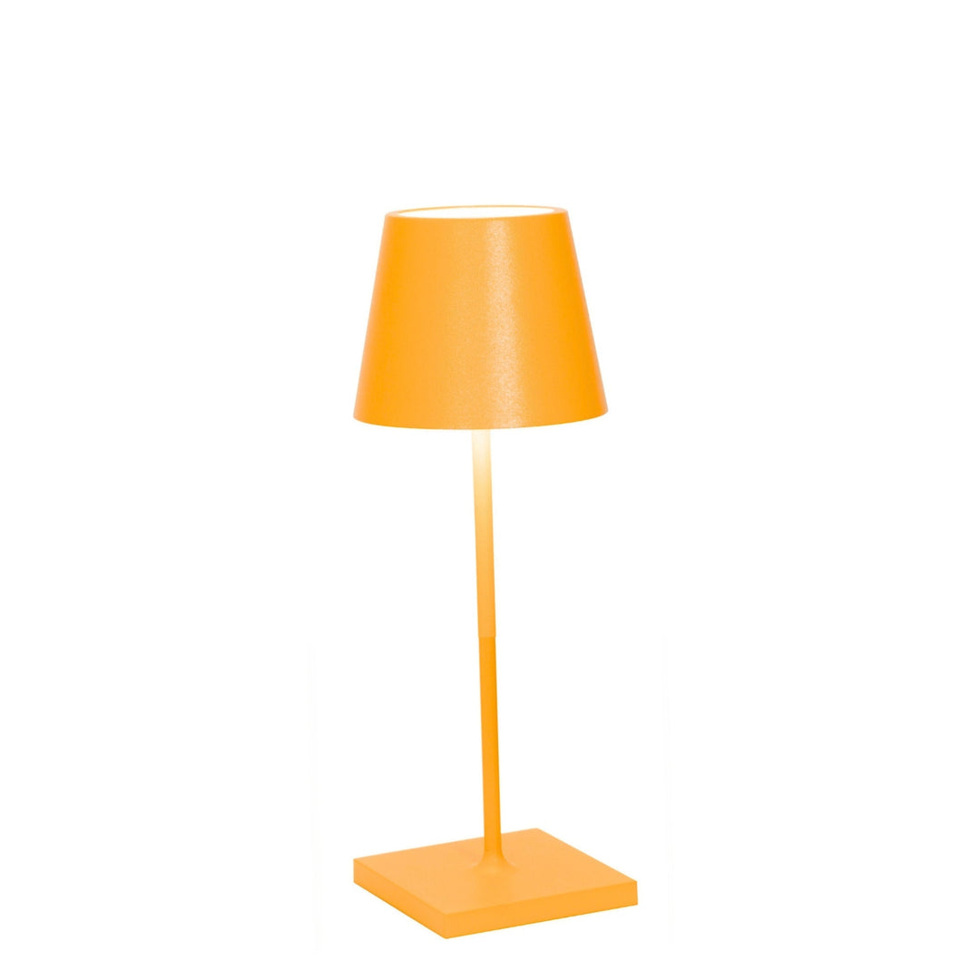 "Poldina Pro Mini"