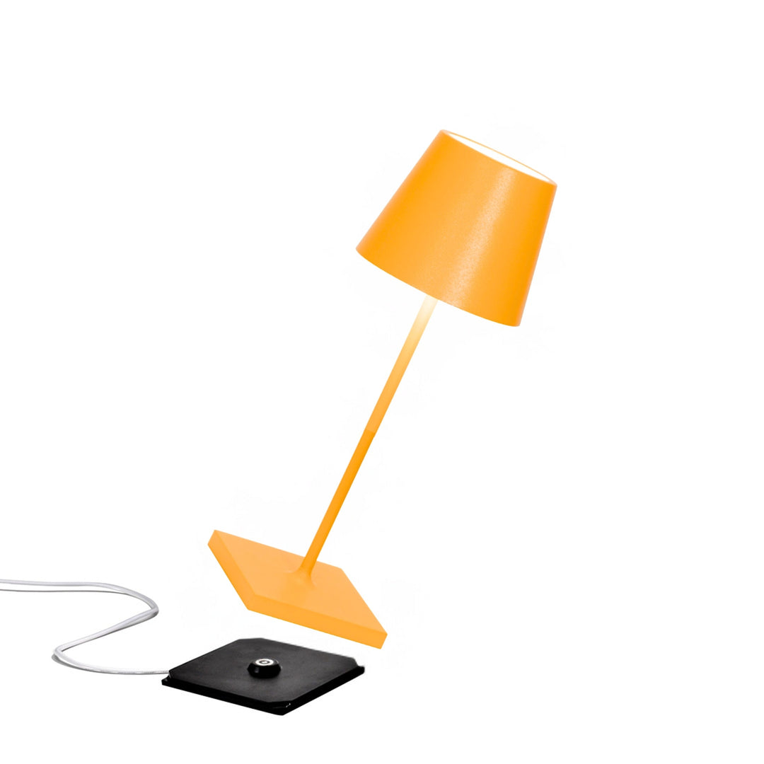 "Poldina Pro Mini"
