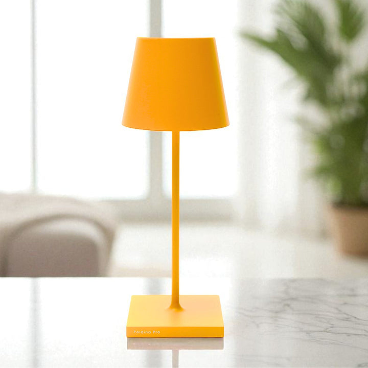 "Poldina Pro Mini"
