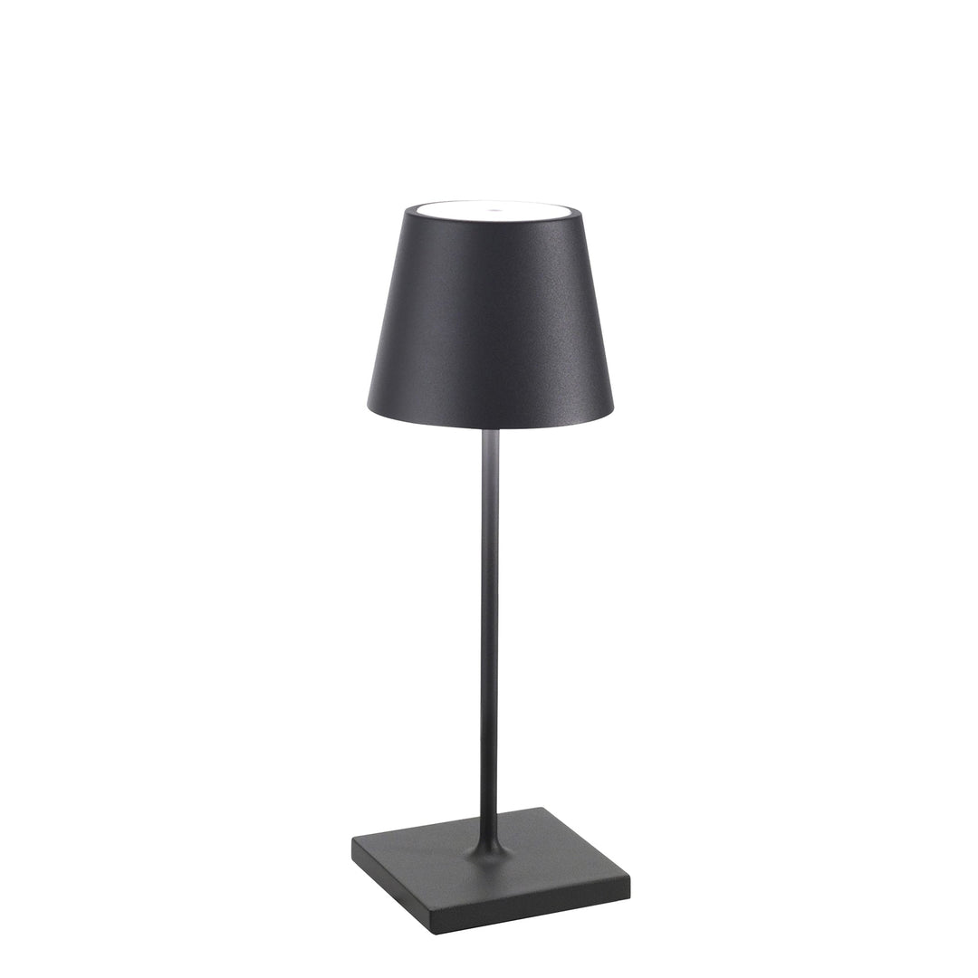 "Poldina Pro Mini"