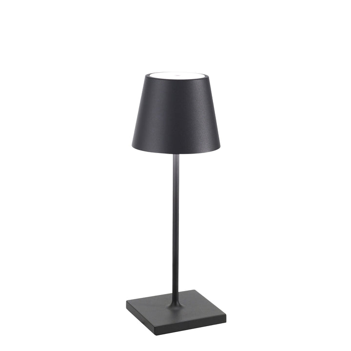 "Poldina Pro Mini"