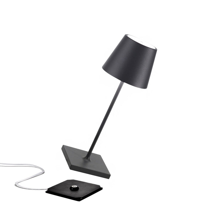 "Poldina Pro Mini"