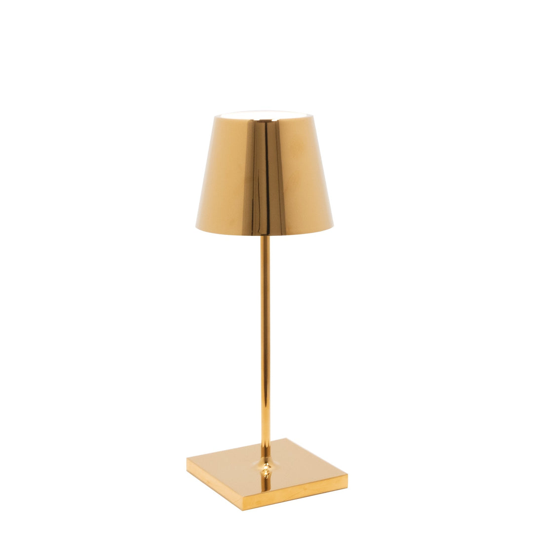"Poldina Pro Mini"