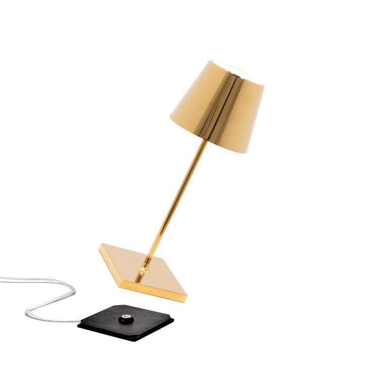 "Poldina Pro Mini"