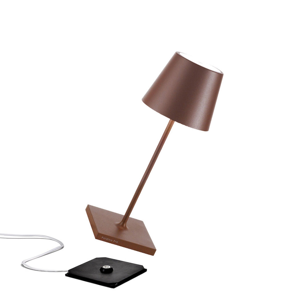 "Poldina Pro Mini"