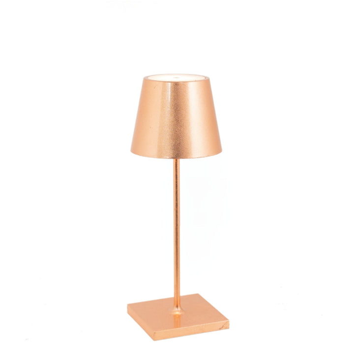 "Poldina Pro Mini"
