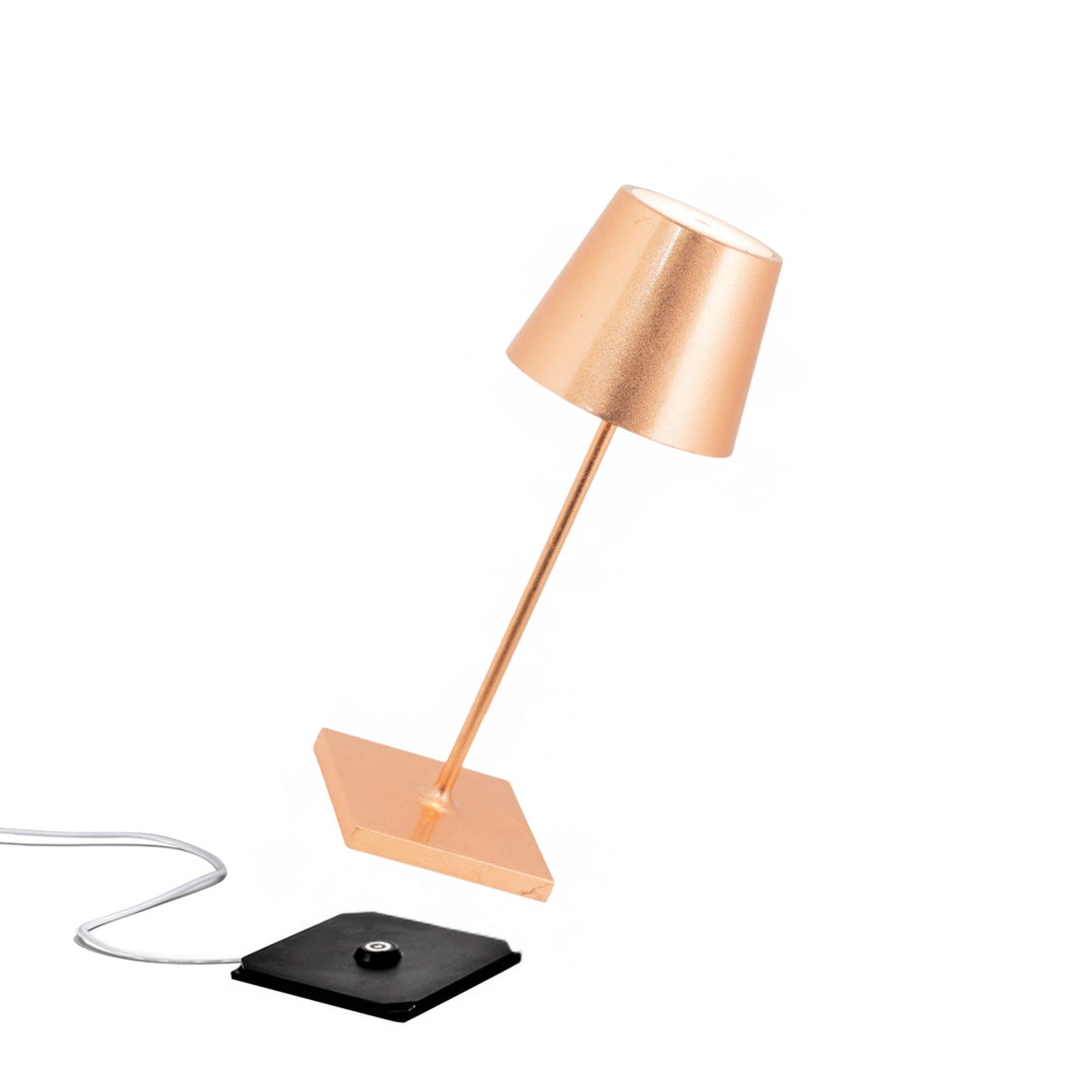 "Poldina Pro Mini"