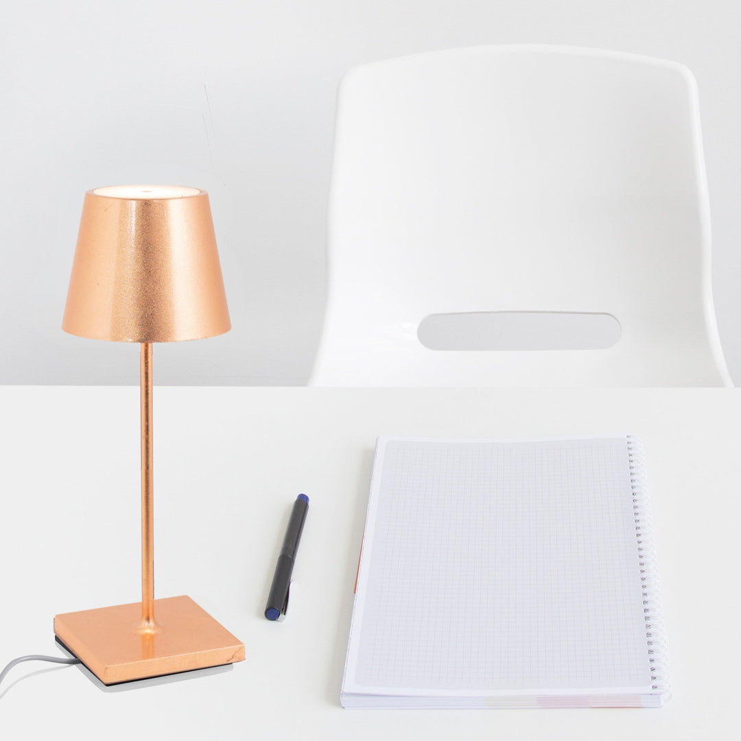 "Poldina Pro Mini"