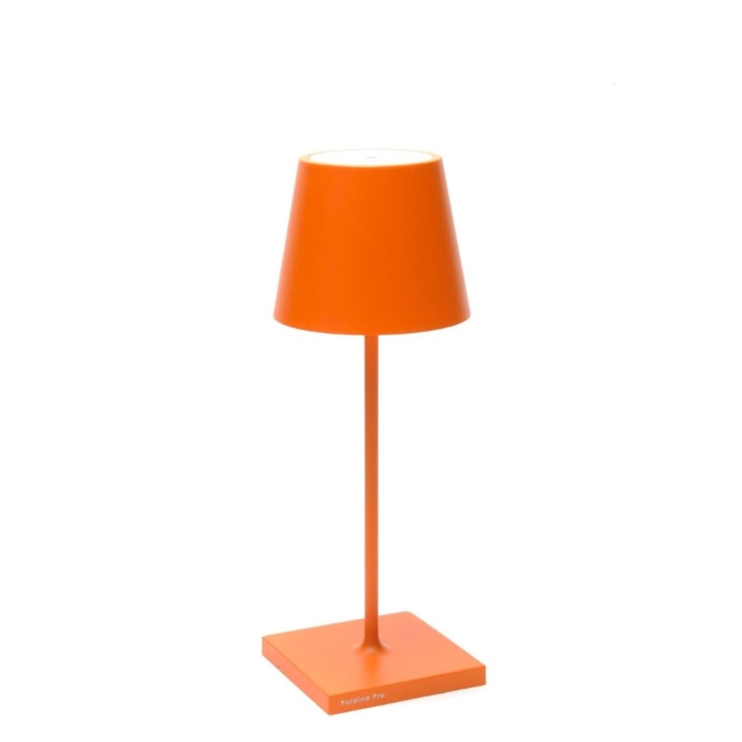 "Poldina Pro Mini"